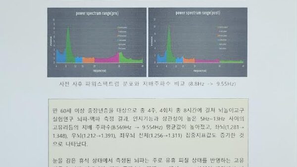 뇌놀이교구 두뇌활성도 연구 결과 보고서